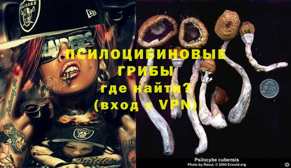 кокаин колумбия Богородицк