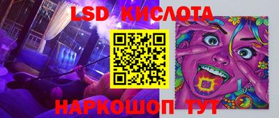 прущие грибы Нальчик