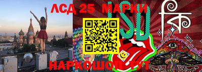 прущие грибы Нальчик