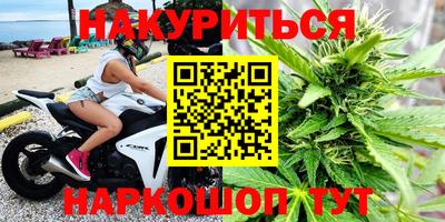 прущие грибы Нальчик