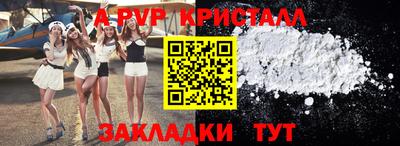 прущие грибы Нальчик
