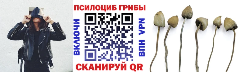 Галлюциногенные грибы мухоморы  Сланцы 
