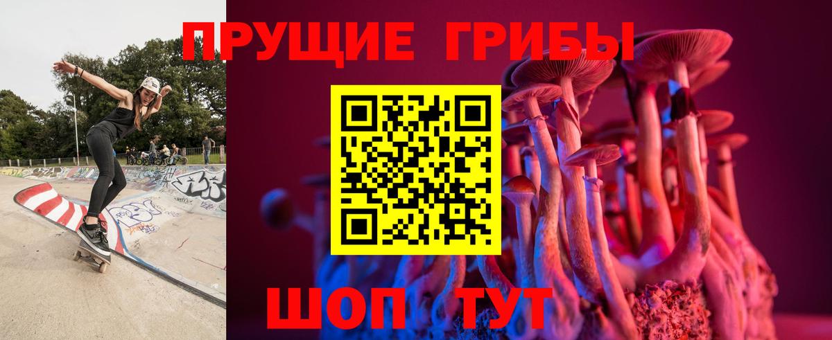 Сланцы  Псилоцибиновые грибы GOLDEN TEACHER  Псилоцибиновые грибы прущие грибы  Вход с VPN 